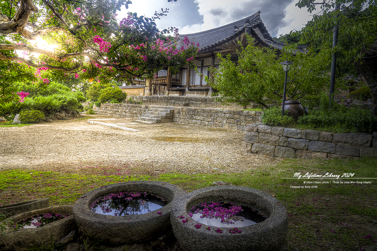 논산 고택 명재고택 배롱꽃