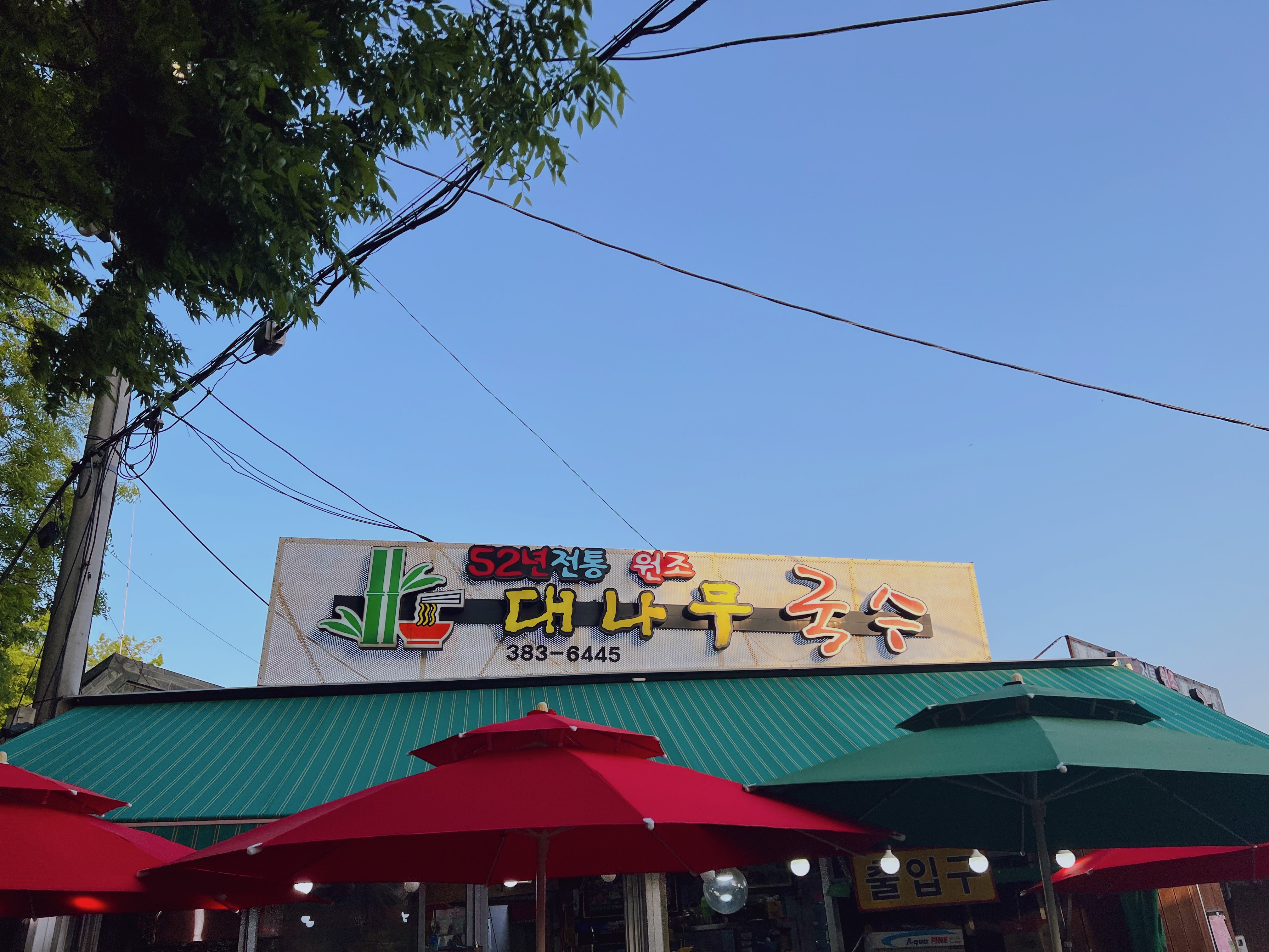 담양 대나무국수