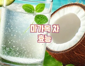 코코넛워터-효능