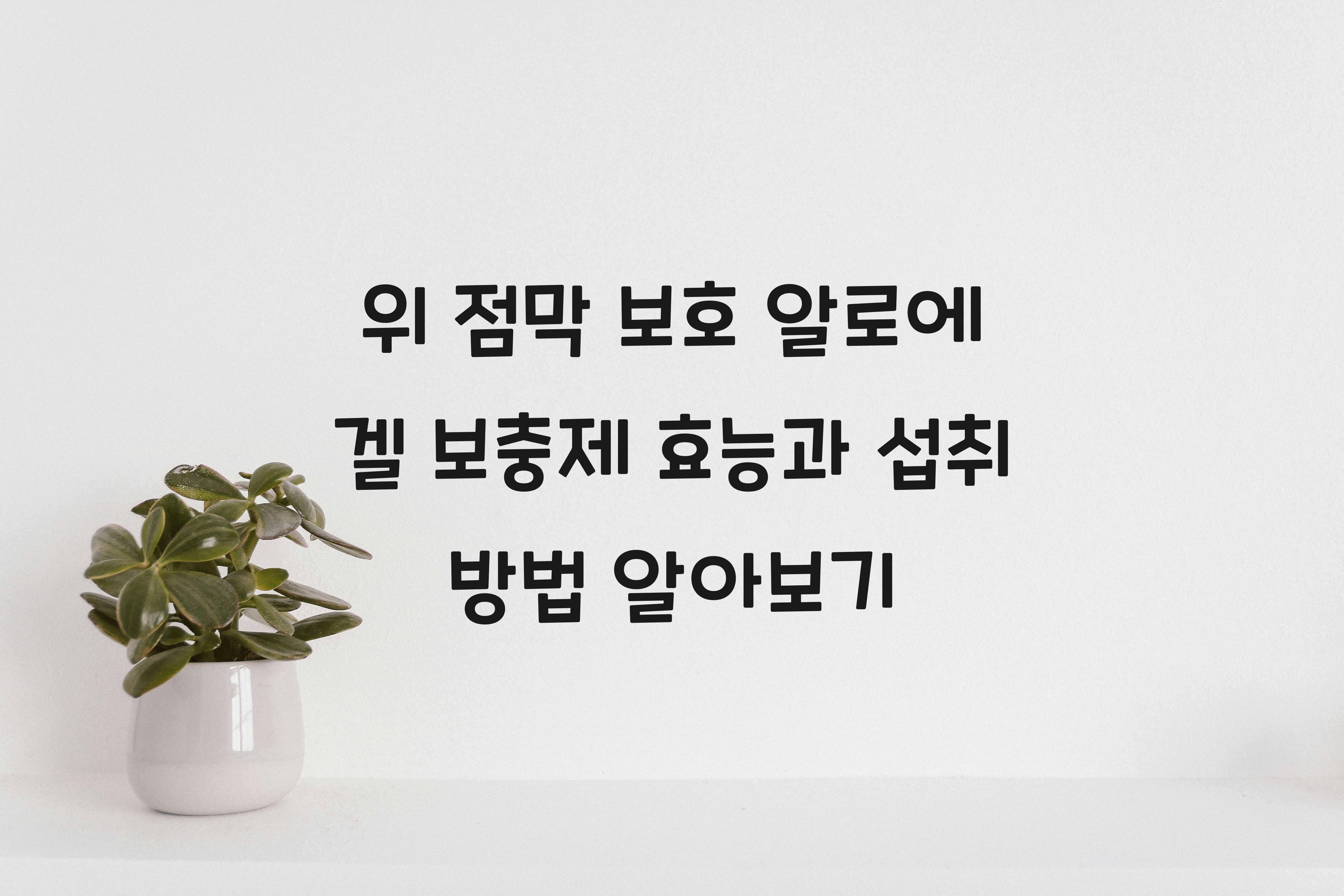 위 점막 보호 알로에 겔 보충제