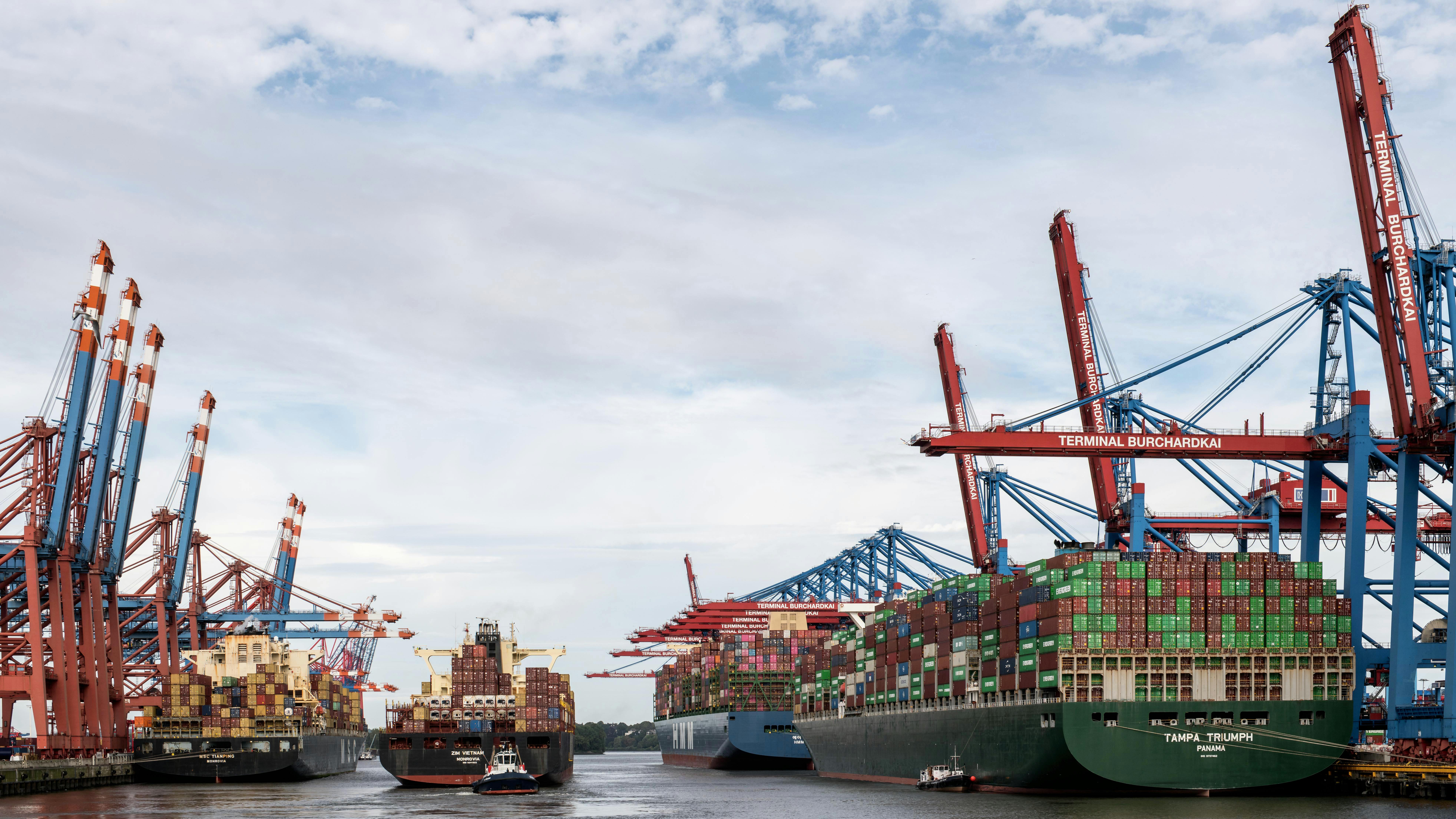 컨테이너 터미널에 선박이 정박한 모습