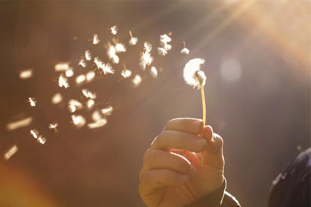 고주파 온열암치료 비용