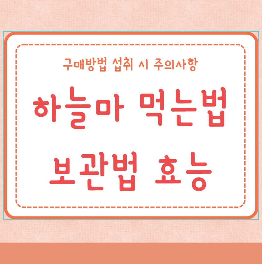 하늘마 먹는법 보관법 효능