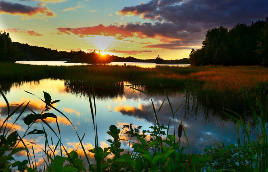 AI와 디지털 전환이 창출하는 새로운 산업 생태계
