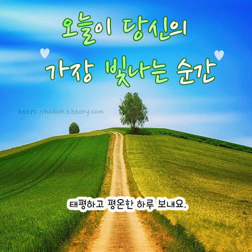 태평한-하루