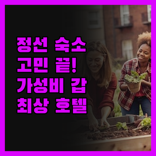 정선 숙소 고민 끝! 가성비 & 만족