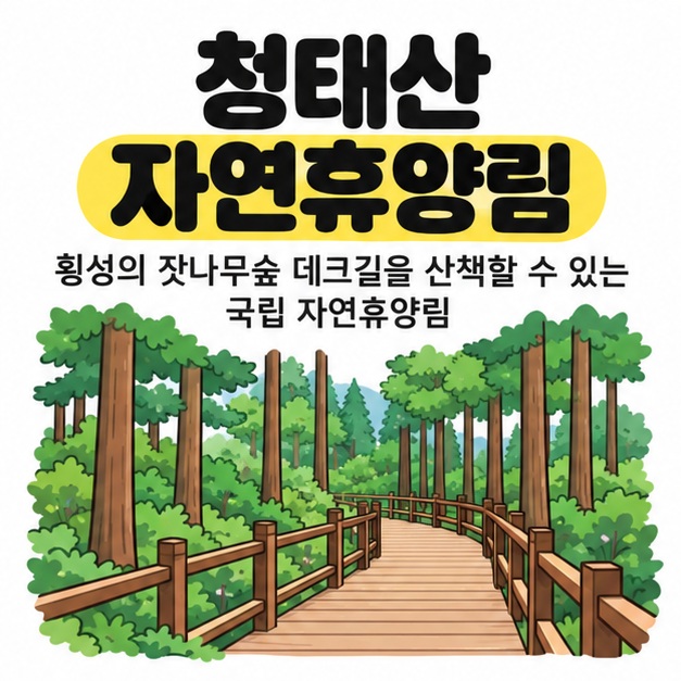 청태산 자연휴양림 제목과 횡성의 잣나무숲 데크길 안내 아래에 나무 사이로 이어지는 데크 산책로를 그린 대표 삽화
