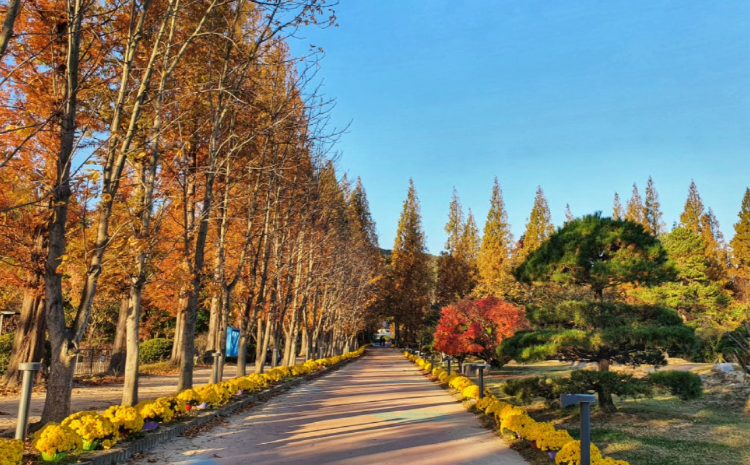 경북천년숲정원
