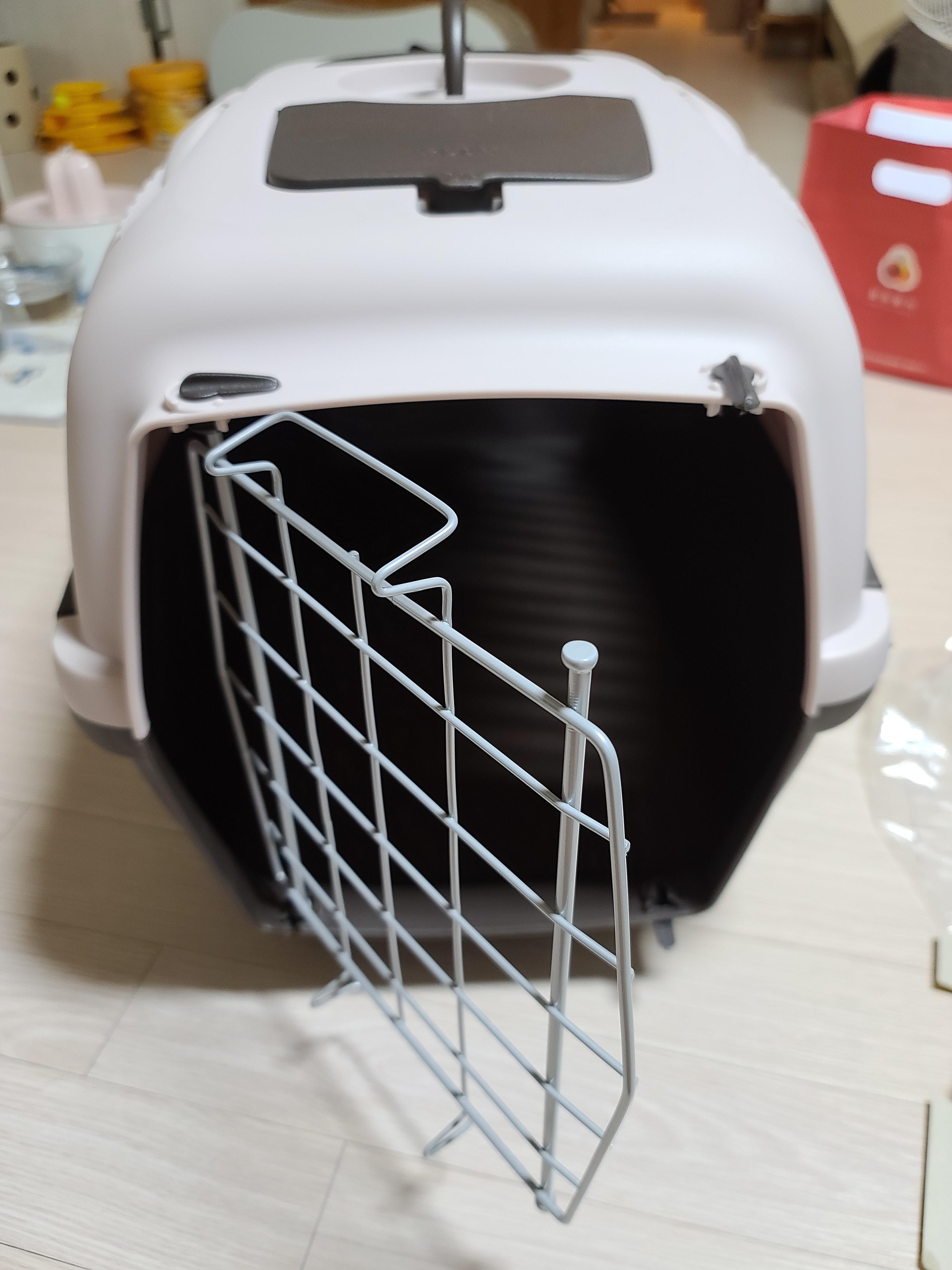 새 이동장이 왔다. 고양이들 총출동!