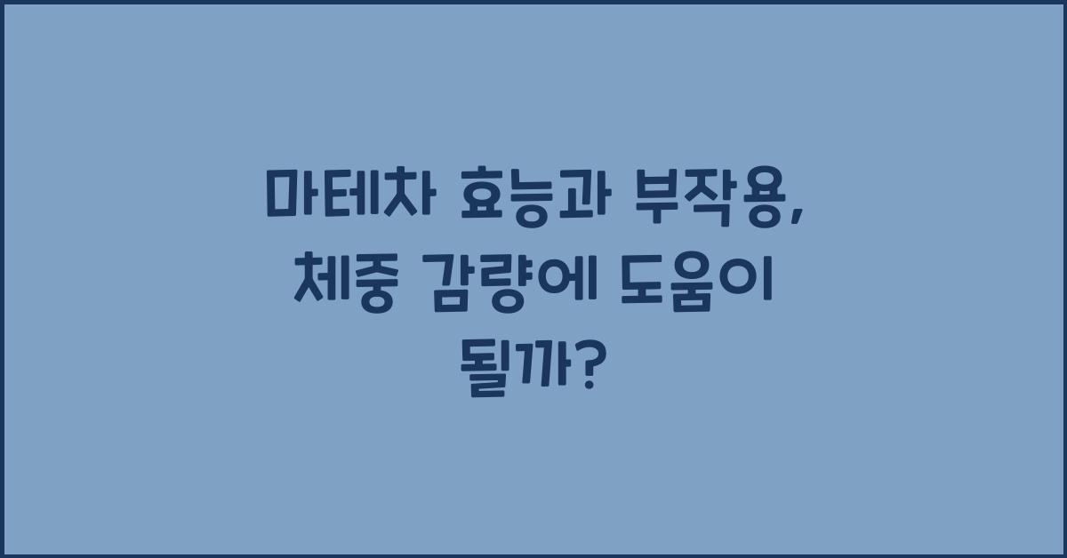 마테차 효능