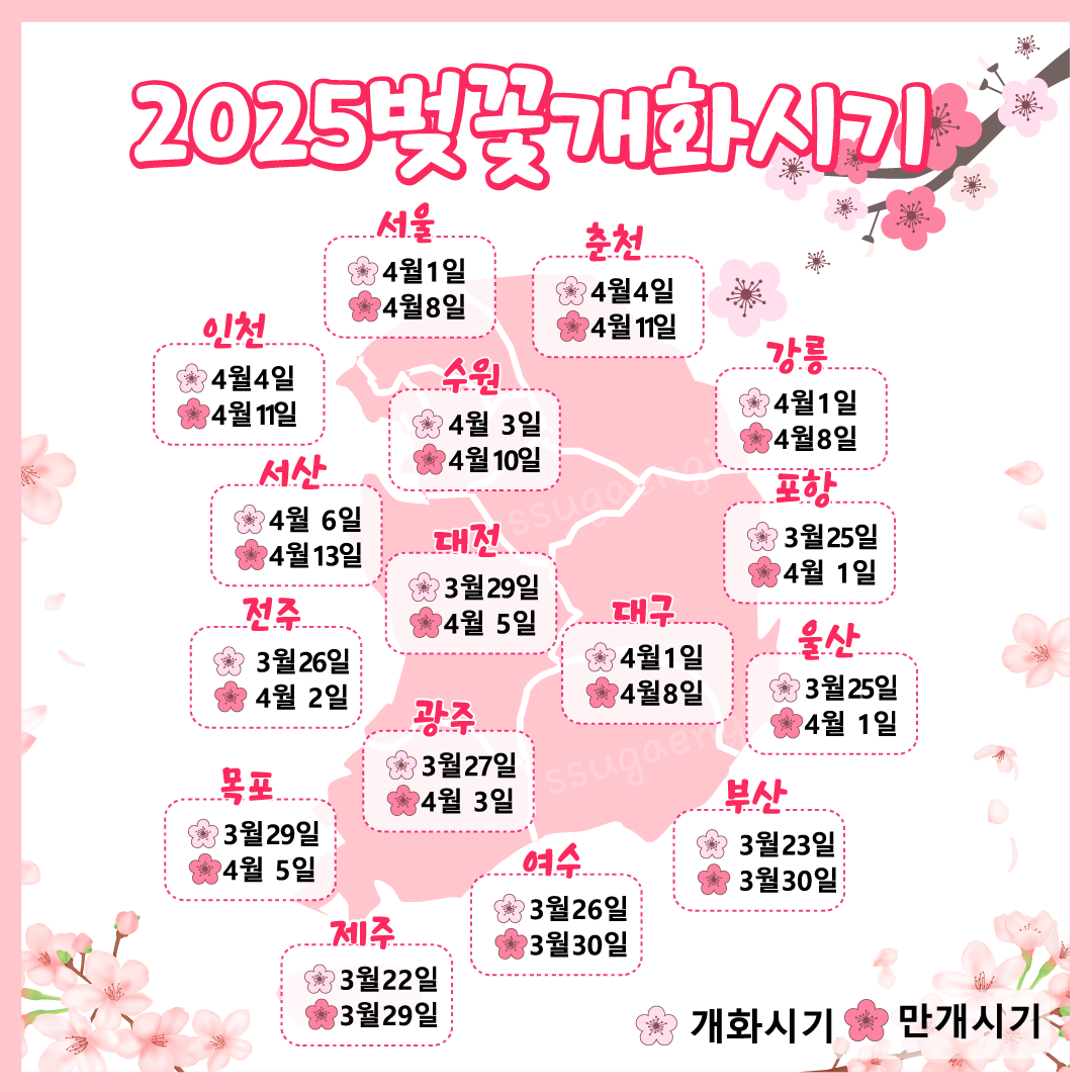 전국 각지역 벚꽃개화시기