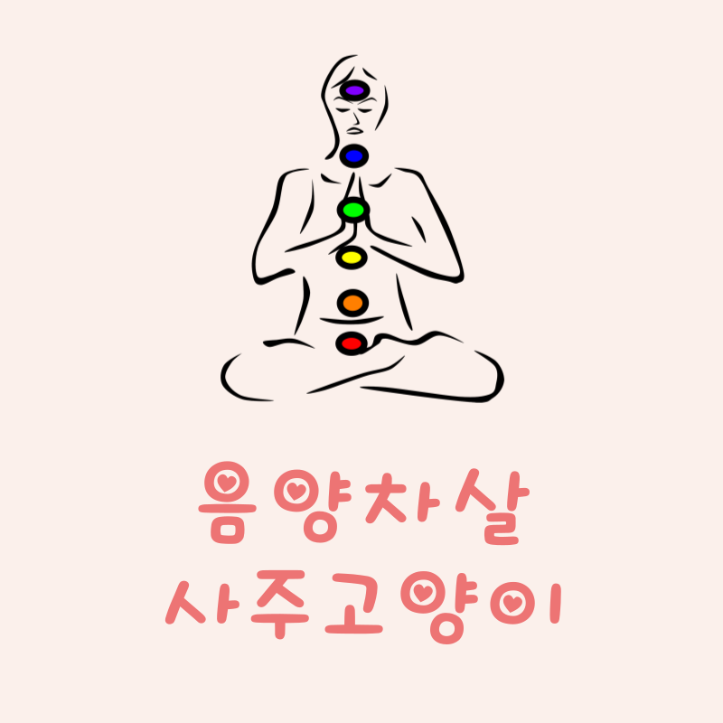음양차살이란
