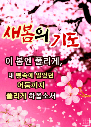 새봄의 기도 인사말 이미지, 봄과 함께 희망과 어둠이 풀리기를 기원하는 감성 문구 사진