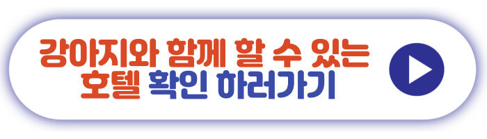 강아지와 함께 할 수 있는 호텔