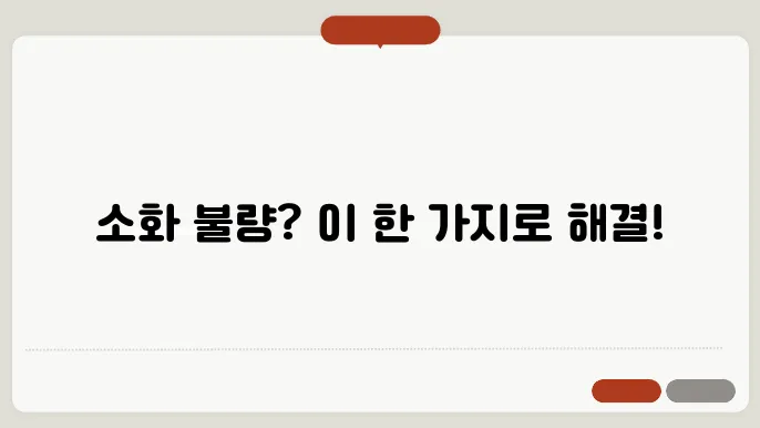 소화 잘 안 될 때 해결하는 법