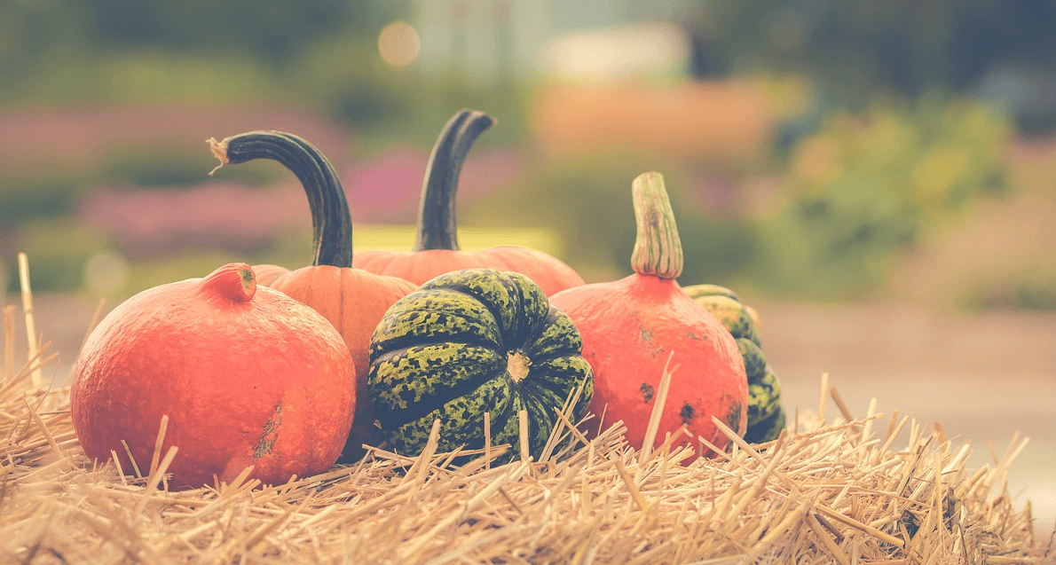 염증에 좋은 음식과 관련된 사진 - 4