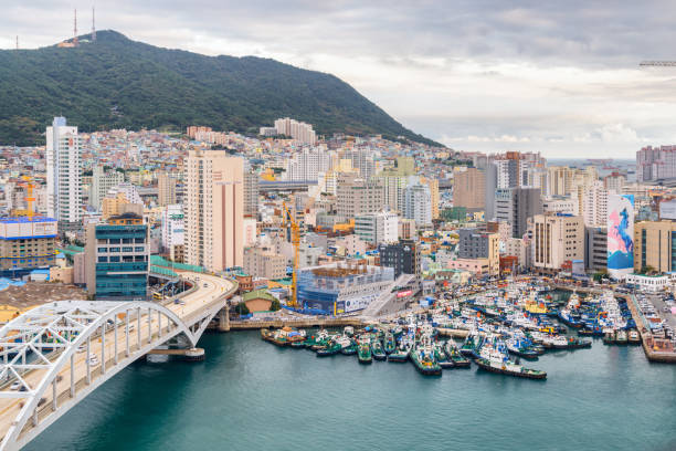 부산 사진