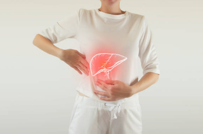 간수치가 높으면 나타나는 증상, 올라가는 이유, 간수치 정상범위 총정리 (2024ver)