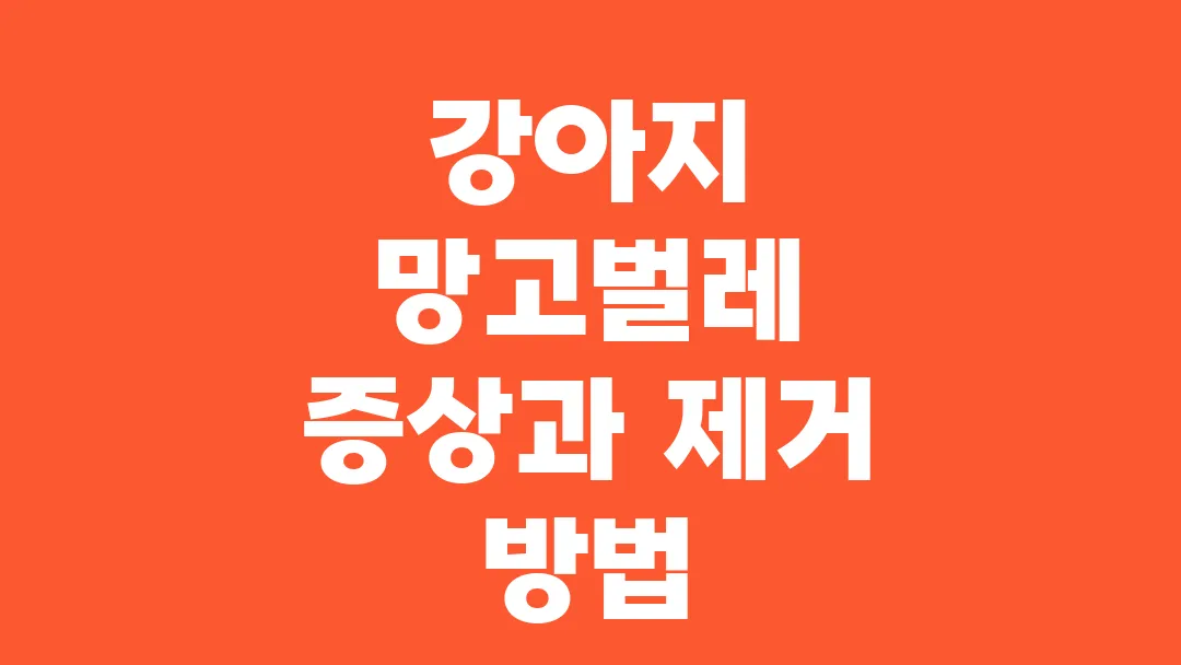 강아지 망고벌레 증상과 제거 방법
