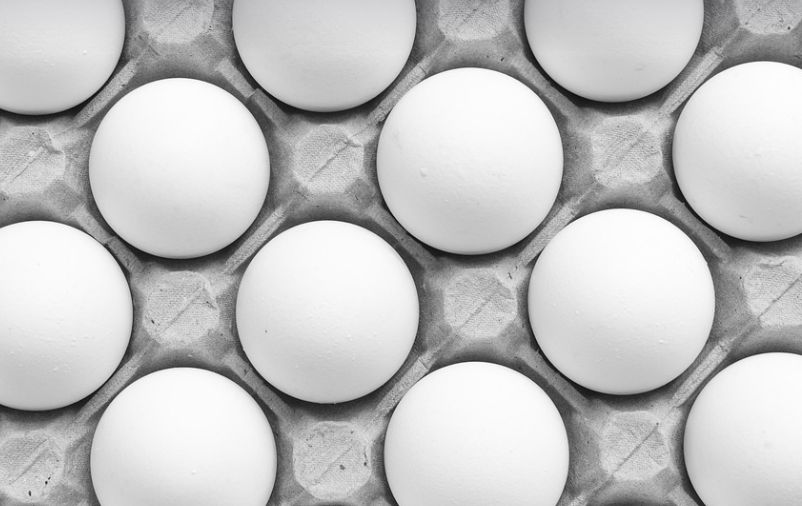 단잭질이 들어있는계란