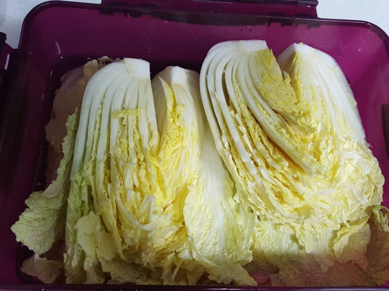 백김치 담그는 방법 03