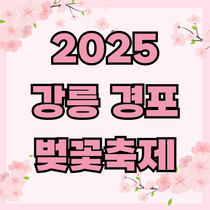 2025 강릉 경포 벚꽃축제