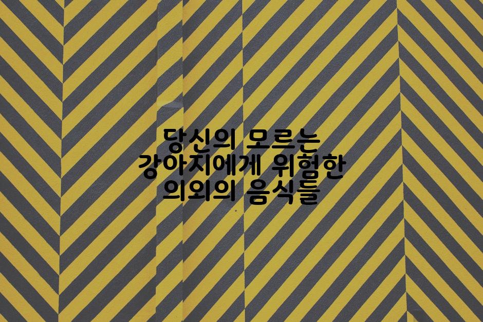 당신의 모르는 강아지에게 위험한 의외의 음식들