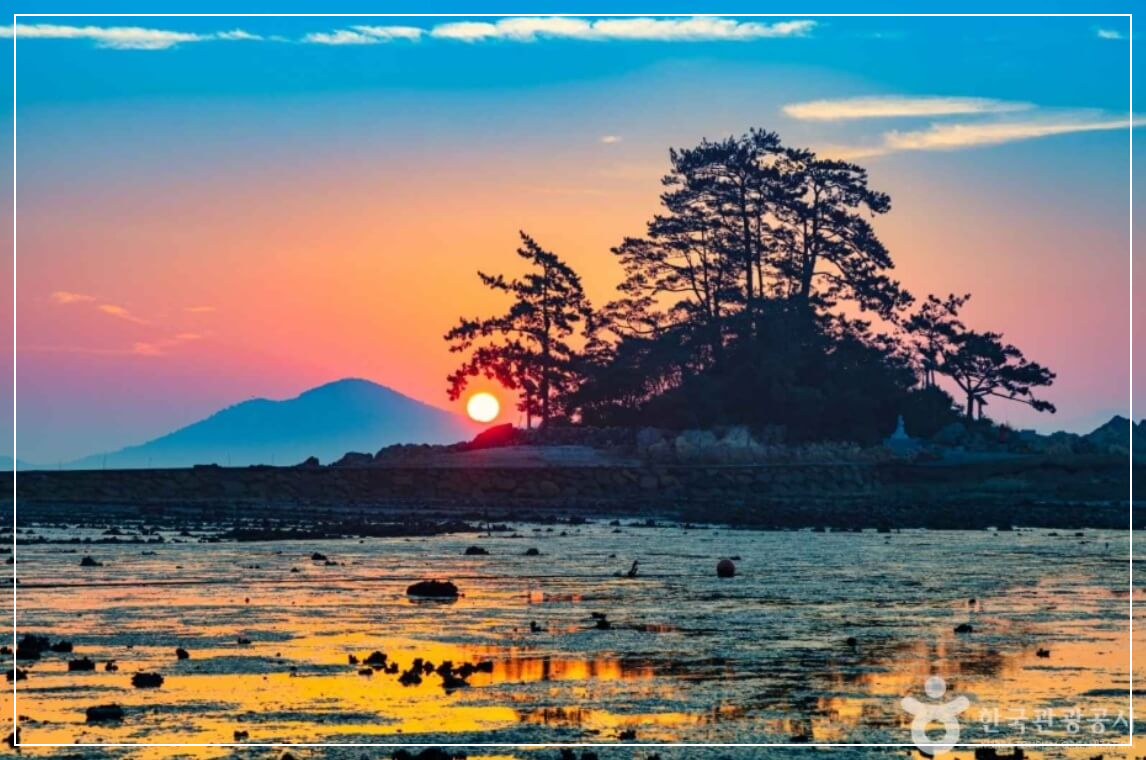 장흥 가볼만한곳 베스트10 소등섬