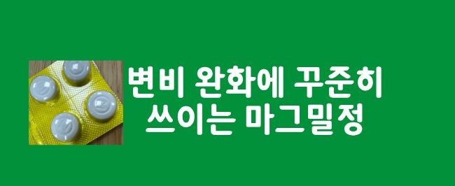 마그밀정 효능 부작용