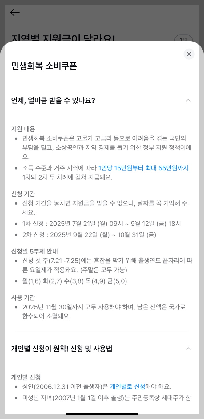민생회복 소비쿠폰 카카오 페이 가이드 6