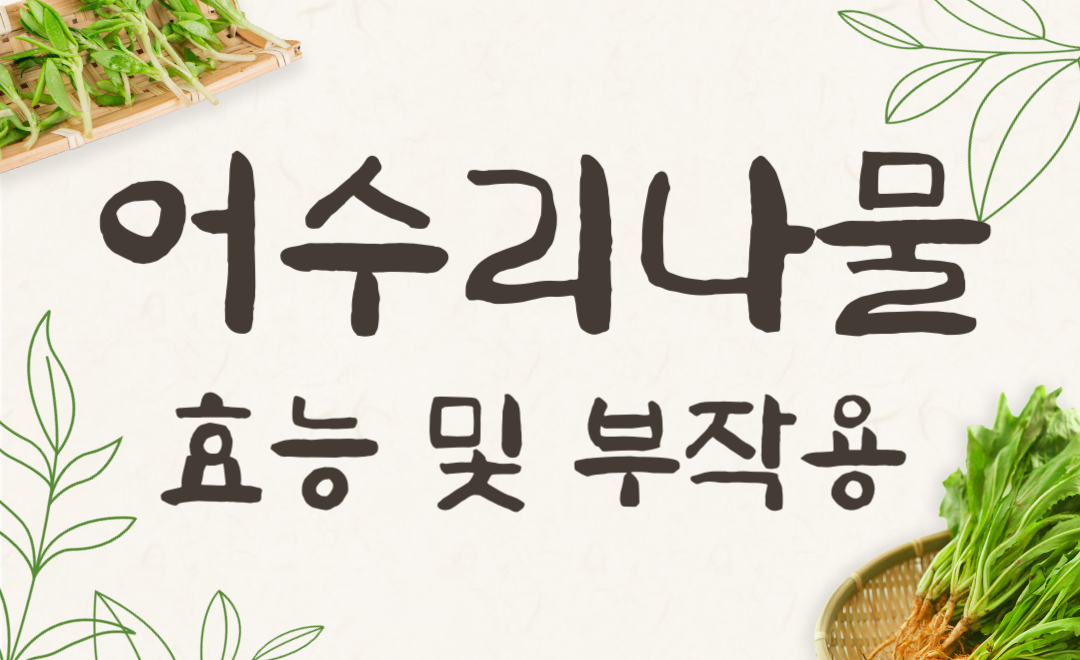 어수리나물 효능과 부작용, 안전하게 먹는 법 완벽 정리