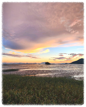 와온해변