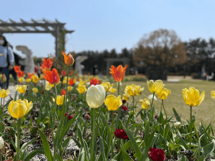 2023 파주 벽초지수목원 백만송이 봄꽃축제