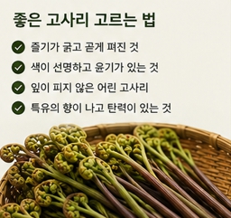 고사리두부조림이미지
