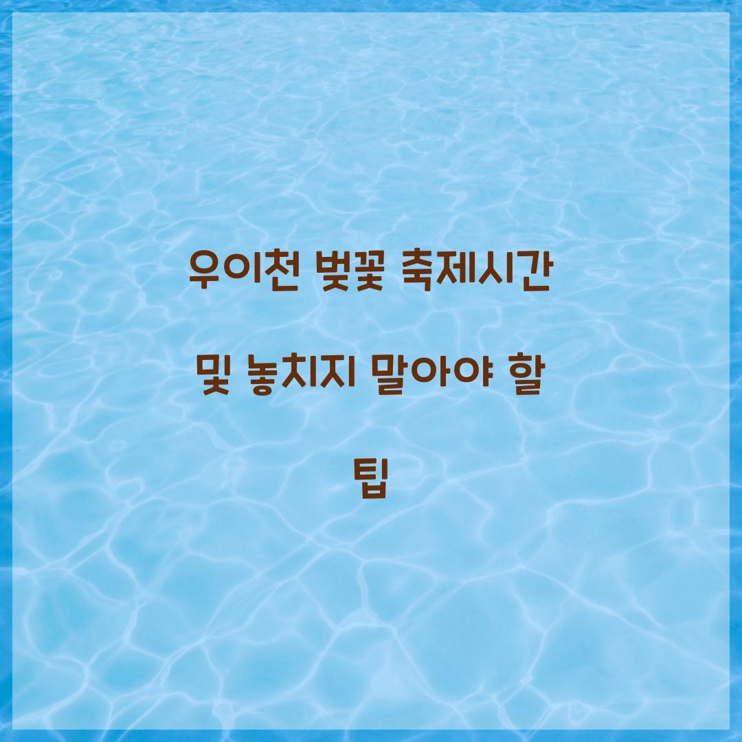 우이천 벚꽃 축제시간