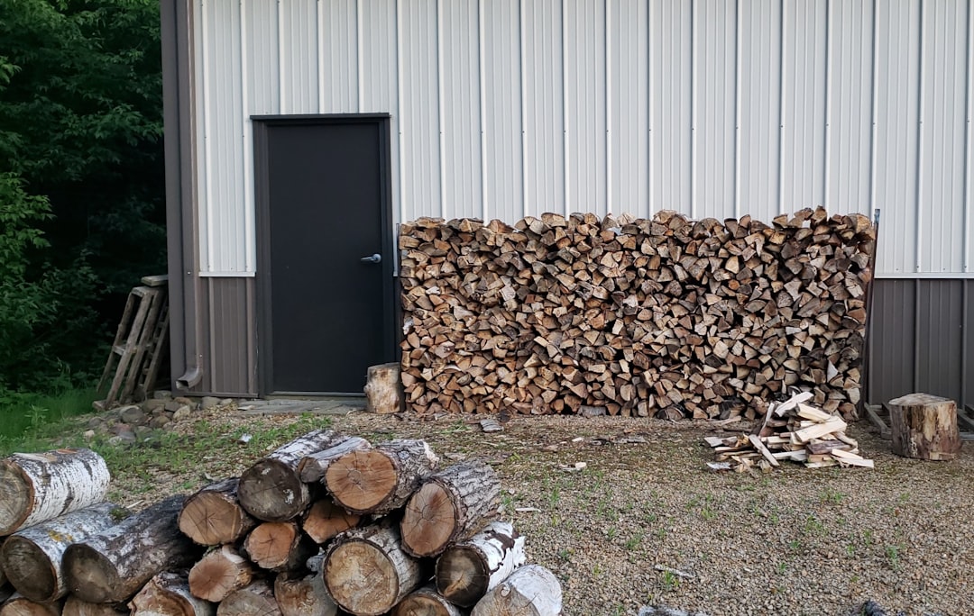 'Log'