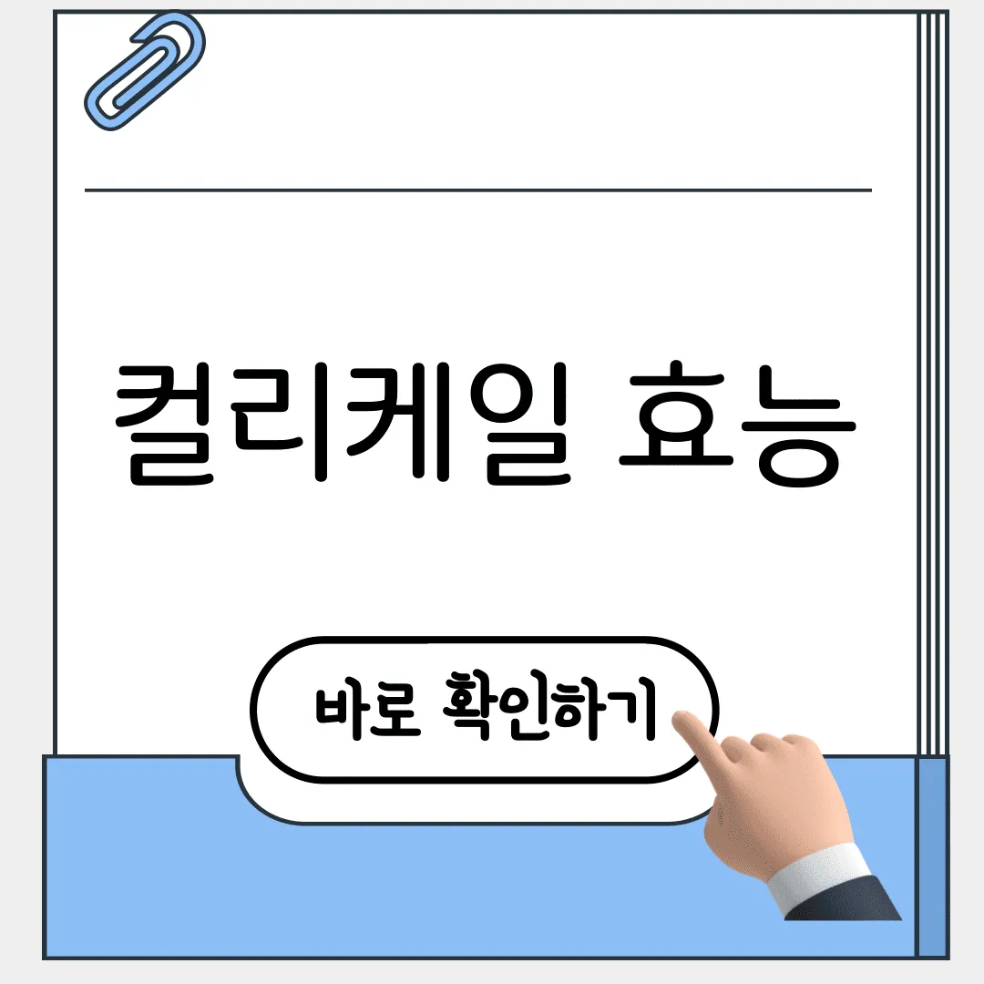 컬리케일 효능