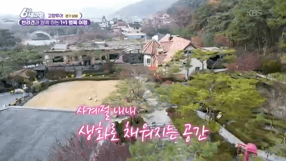 [6시내고향]경기 양평 애견동반 바베큐&middot;정원카페&middot;산악 액티비티 &amp;#39;바베큐레이브 더그림 엑스라이프&amp;#39; 예약 위치 연락처 정보