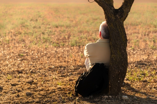노인 복지 혜택