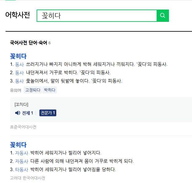 꽂히다 뜻 영어로 꽃히다 꼽히다 올바른 맞춤법 차이점 다른말 총정리2