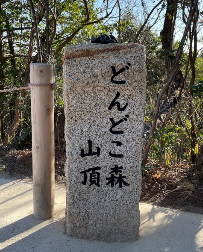돈도코 숲6