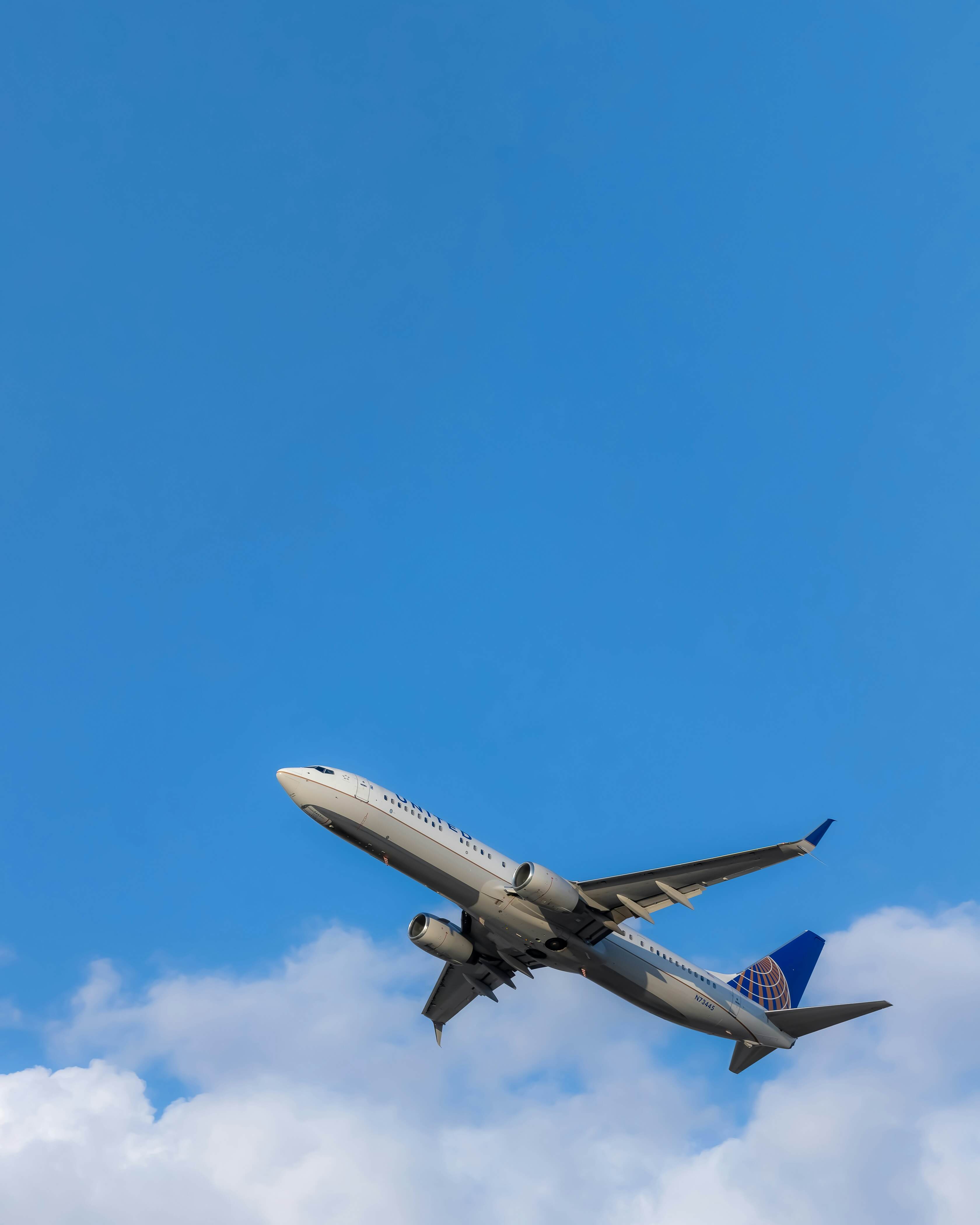 5월 2일 임시공휴일