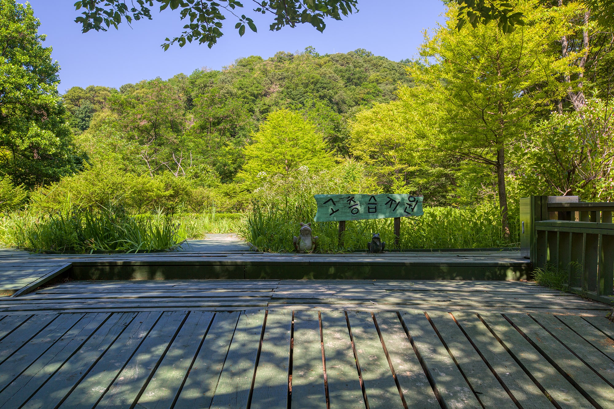 신구대 식물원 - 28