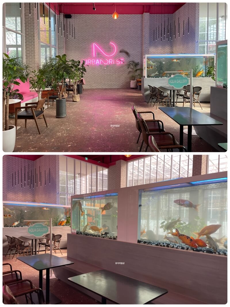 동탄 대형 베이커리 카페 어반리st - 곳곳에 수족관