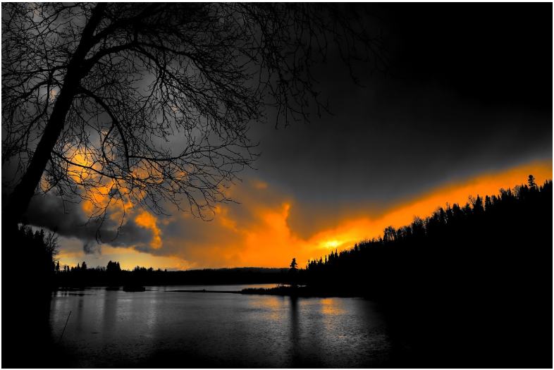 장맛비가 내린 후 땅의 기운을 느끼며 깨달은 자연 명상의 지혜-베트남 우기철의 마음챙김