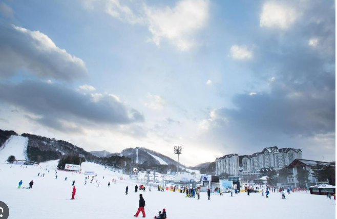 용평-스키장