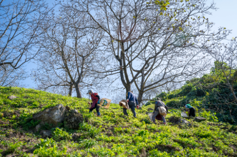 2024 임업직불금 지급시기 금액 신청방법과 관련한 산지 관리하는 임업인 사진