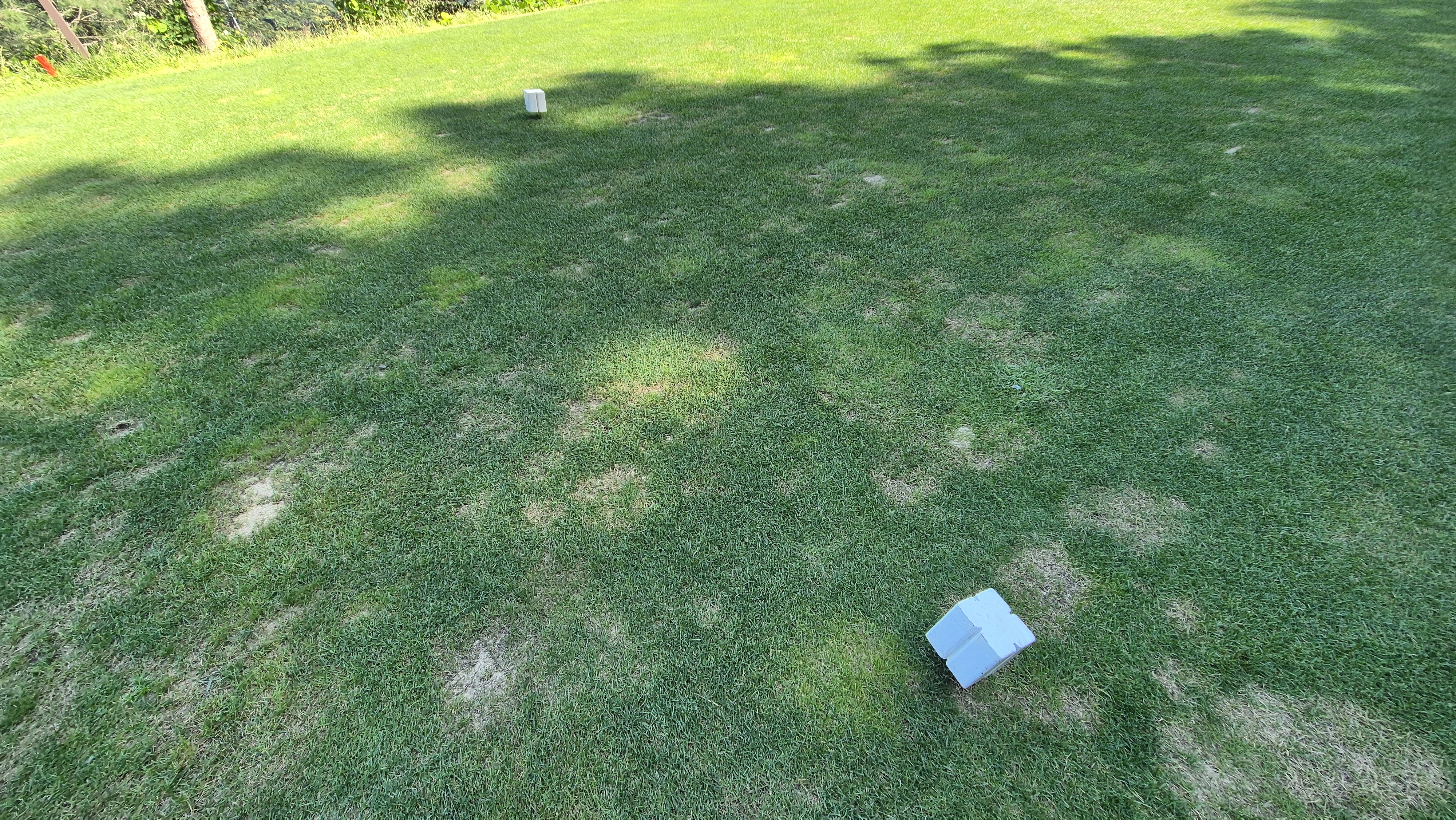 마론cc 라운드 후기