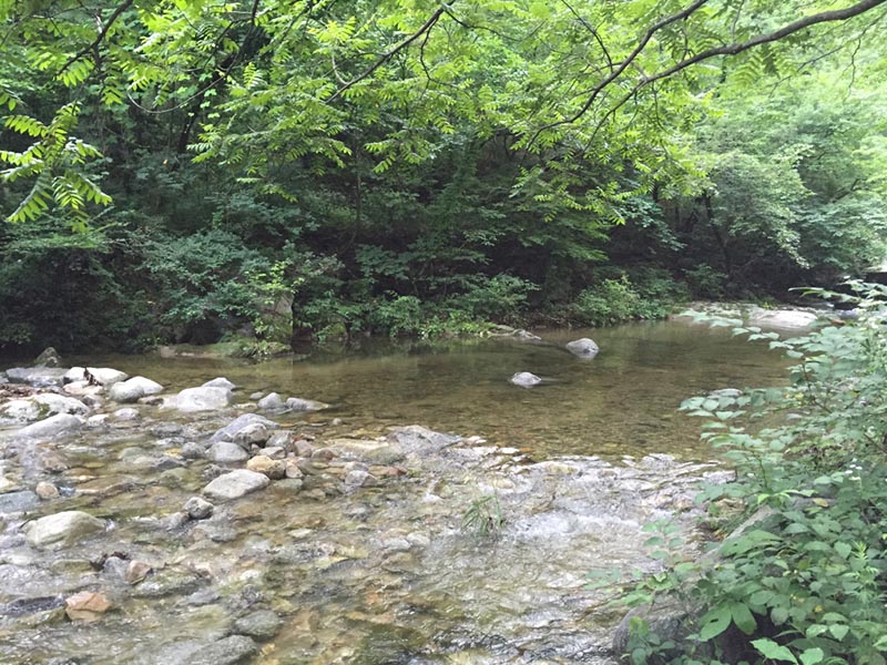 대관령 솔내음오토캠핑장 소개