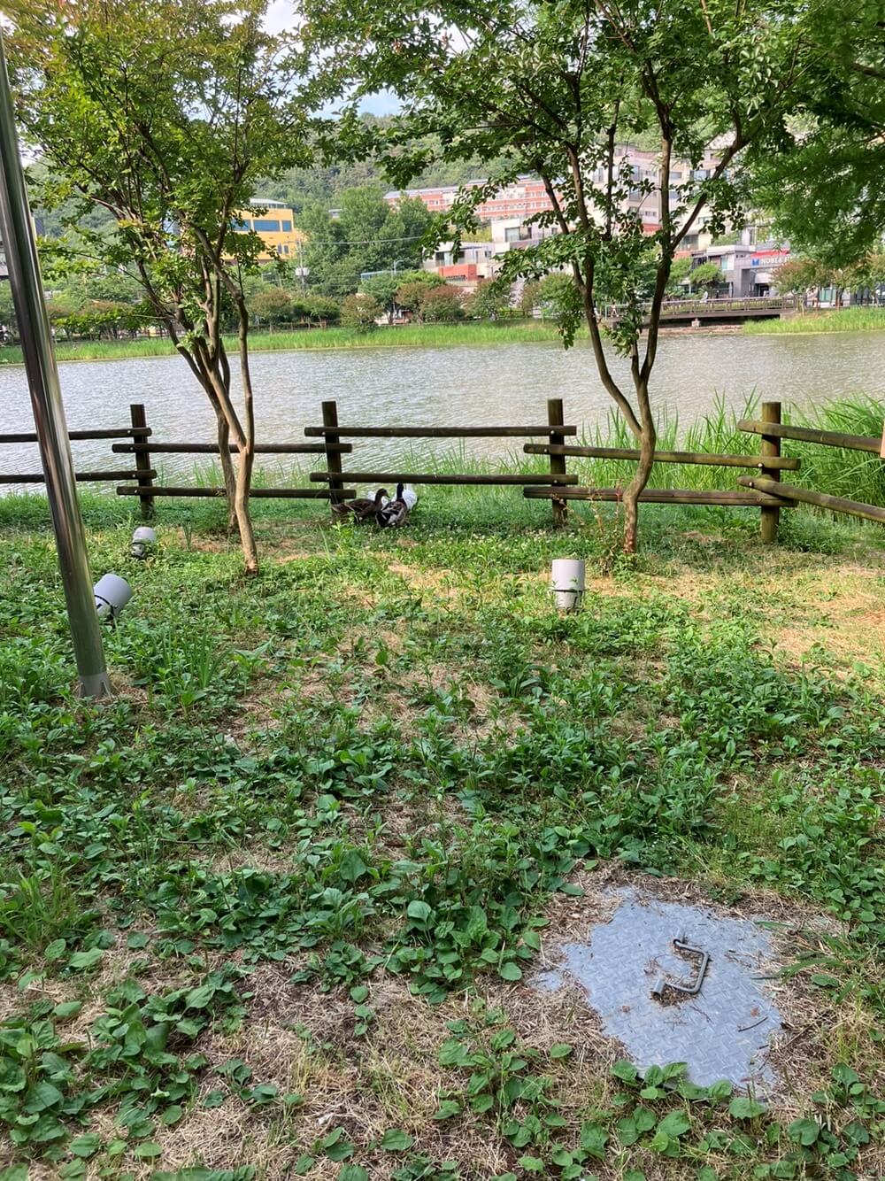 오리